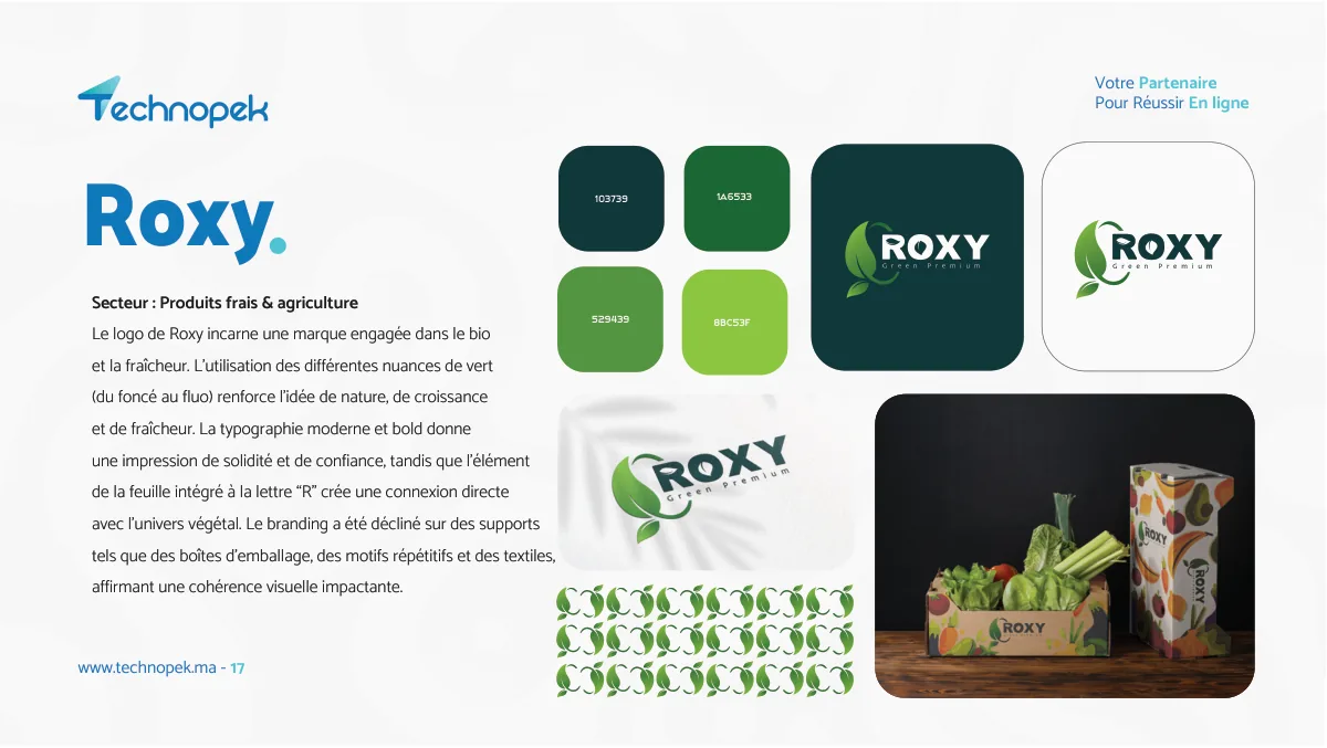 Technopek Maroc — portfolio agence digitale · planche 17 sur 34